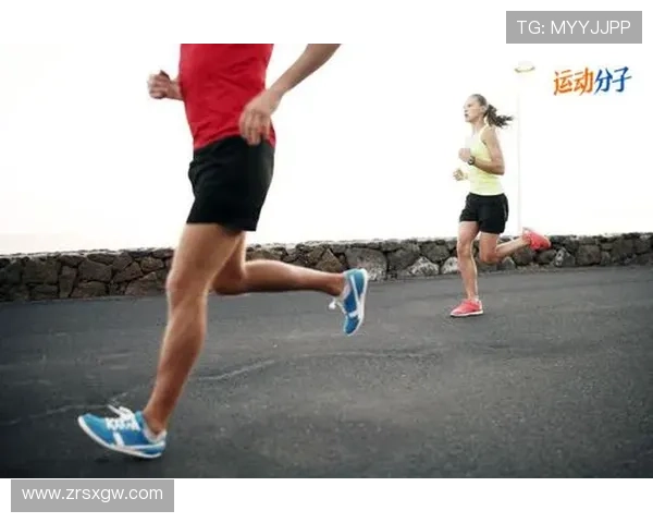 开运体育电脑版支持多种运动项目,满足不同用户的运动需求 开运体育电脑版支持多种运动项目,满足不同用户的运动需求