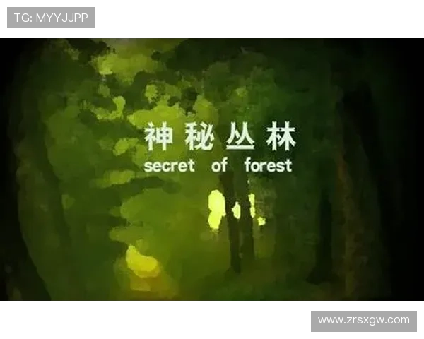 全面介绍bg真人版影片的拍摄技术与后期制作流程确保每个细节的真实还原