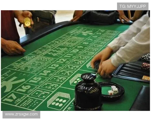 百家乐龙虎斗玩法规则介绍:详细解析游戏流程与投注策略 百家乐龙虎斗玩法规则介绍:详细解析游戏流程与投注策略