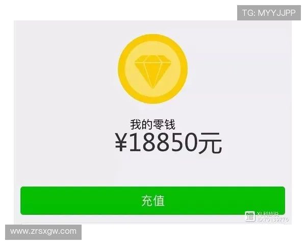 wm视讯厅多样化的支付方式及快速提现流程详解